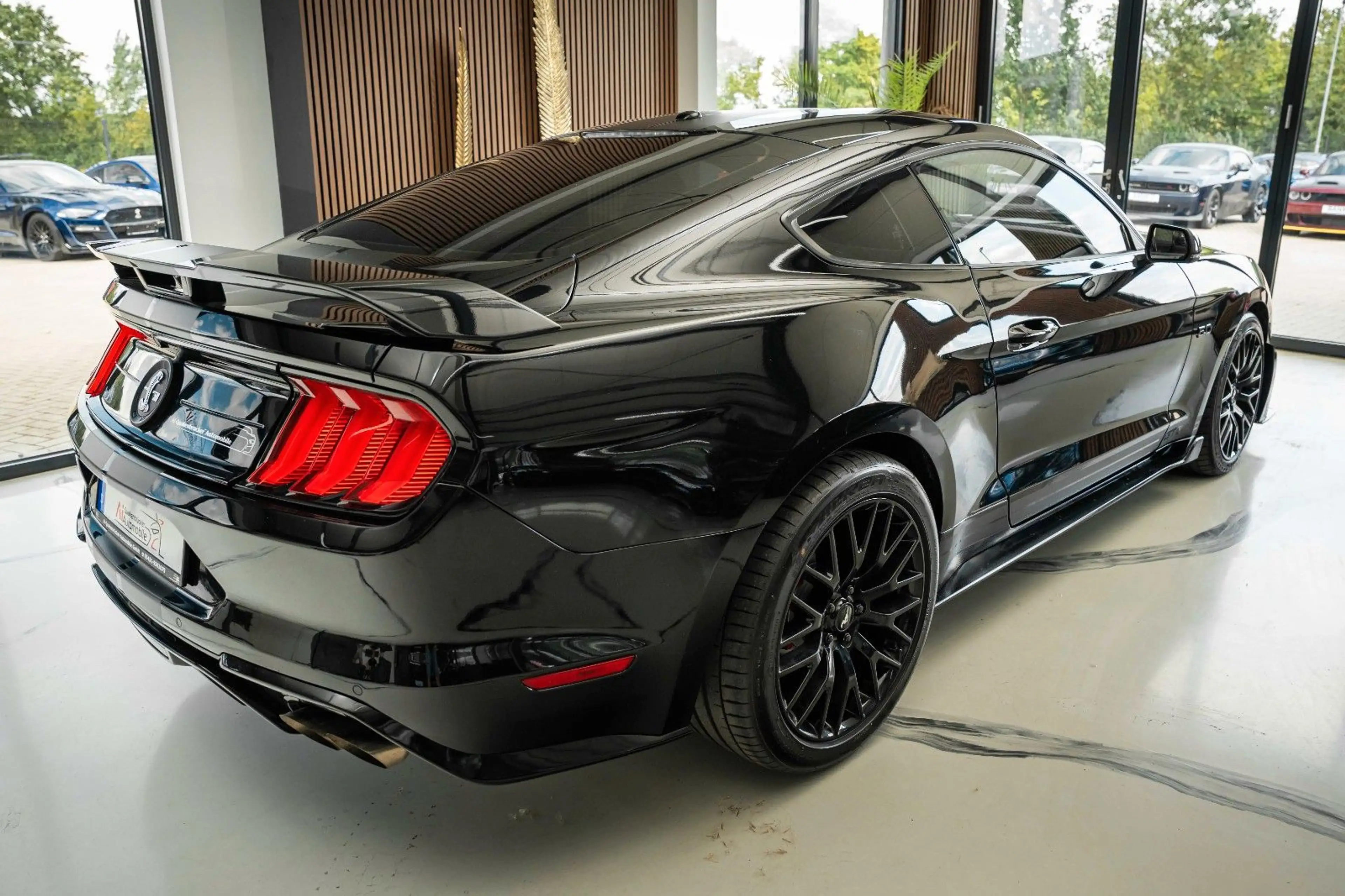 Ford Mustang GT 5,0 PREMIUN PERFORMANCE GT 500 SHELBY — photo 5