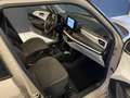 Suzuki Swift SWIFT Shine Hybrid 1,2 82PS 5G Schalter - thumbnail 18