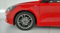 Ford Focus 1.0 ecoboost ST-Line s&s 125cv Rosso - thumbnail 11