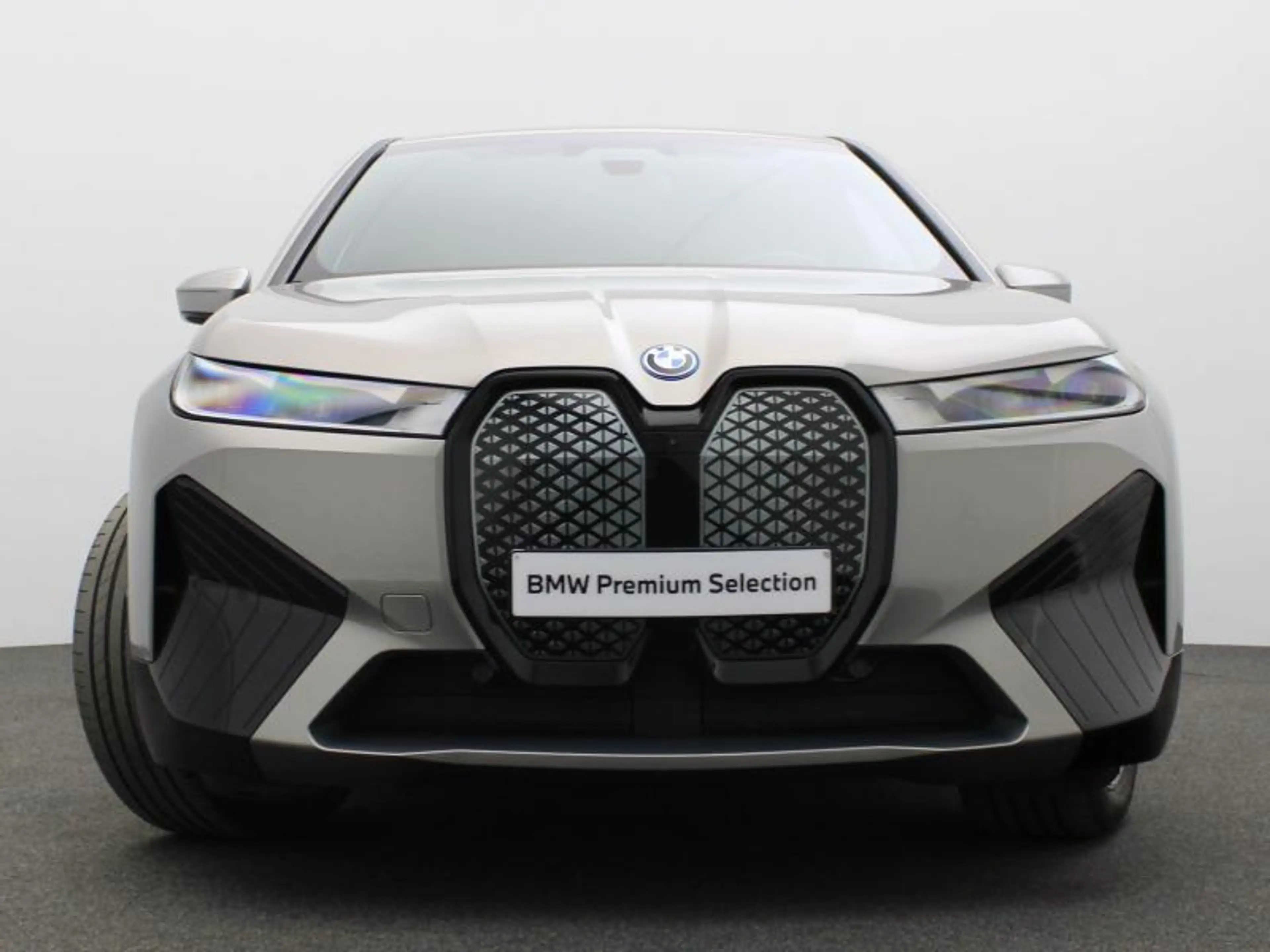 BMW iX SPORTPACK - ACC - HARMAN-KARDON — photo 2