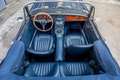 Austin-Healey 3000 MKIII BJ8 Blau - thumbnail 20