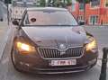 Skoda Superb Superb 1.6 CR TDi Ambition DSG (EU6.2) Brun - thumbnail 15