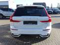 Volvo XC60 Ultra Dark B5 AWD /Massage/FourC/B&W/360° Blanc - thumbnail 7
