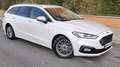 Ford Mondeo Sportbreak 2.0 HEV Titanium Blanco - thumbnail 3