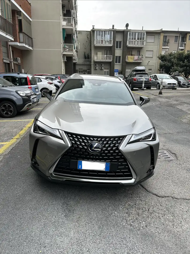 Lexus UX 250h executive - 2