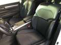 Renault Koleos Blue dCi 150 CV X-Tronic Business cambio automati Bianco - thumbnail 16