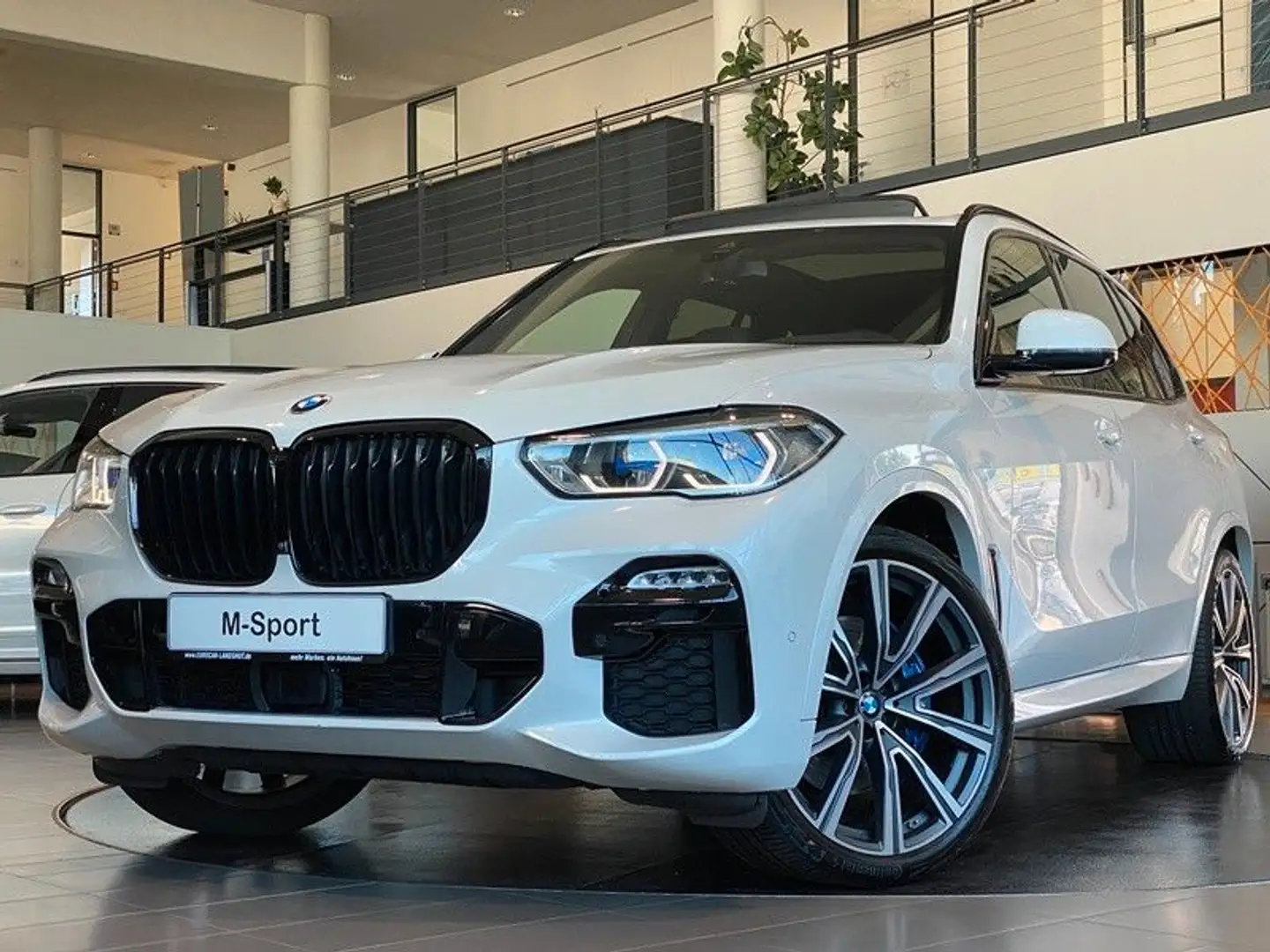 BMW X5 30d M-Sport M-Sitze Carbon Laser Luft H&K 22" Wit - 1