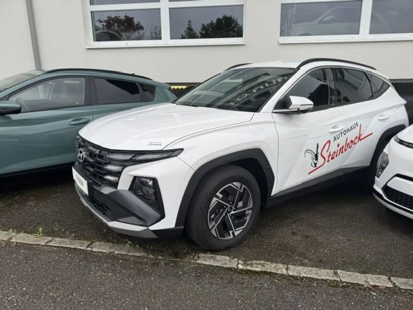 Hyundai TUCSON NX4 Jubile 1,6 T-GDi 2 WD 48V Weiß - 1