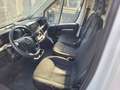 Opel Movano 11900 + IVA L1H1 2.2 BLUEHDI 120 CV E6D-ISC Blanc - thumbnail 5