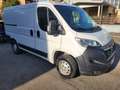 Opel Movano 11900 + IVA L1H1 2.2 BLUEHDI 120 CV E6D-ISC Blanc - thumbnail 1