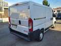 Opel Movano 11900 + IVA L1H1 2.2 BLUEHDI 120 CV E6D-ISC Blanc - thumbnail 4