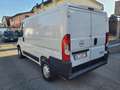 Opel Movano 11900 + IVA L1H1 2.2 BLUEHDI 120 CV E6D-ISC Blanc - thumbnail 6
