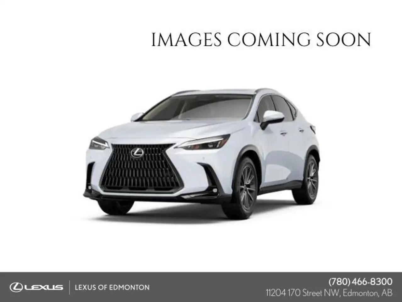 2026 Lexus NX