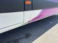 Renault Master L3H2 HKa 3,5t / pinke Folie ist abziehbar - thumbnail 11