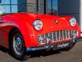 Triumph TR3 Czerwony - thumbnail 6