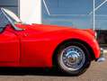 Triumph TR3 Red - thumbnail 7