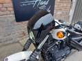 Harley-Davidson Iron 883 IRON 883 A L'ETAT NEUF, GARANTIE 1 AN, 10995 Wit - thumbnail 2