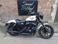 Harley-Davidson Iron 883 IRON 883 A L'ETAT NEUF, GARANTIE 1 AN, 10995 Blanc - thumbnail 1