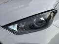 Toyota Yaris 1.5 Hyb. 115 Active | Nav by app | A. camera | Cli Wit - thumbnail 22