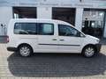 Volkswagen Caddy 1,2l Maxi Startline, Servo, 7-Sitze Weiß - thumbnail 17