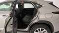 Lexus NX 300 HYBRID 4WD PREMIUM Grau - thumbnail 16