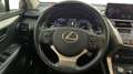 Lexus NX 300 HYBRID 4WD PREMIUM Grau - thumbnail 18