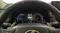 Lexus NX 300 HYBRID 4WD PREMIUM Grau - thumbnail 13