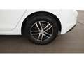 Volkswagen Golf VIII 1.0 TSI LED SITZHZG R-CAM DIGITAL-TACHO Weiß - thumbnail 23