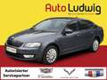 Skoda Octavia 2,0 TDI Ambition*PDC*TEMPOMAT*REGENSENSOR* Grau - thumbnail 1