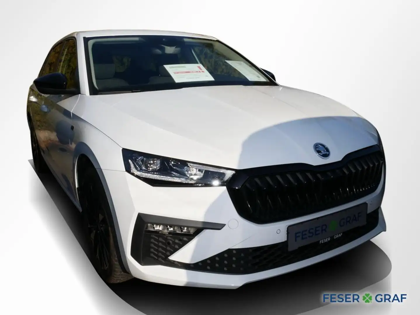 Skoda Scala 1.0 TSI Tour Matrix RüKa Sitzh. Smart Link Weiß - 2