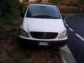Mercedes-Benz Vito 111cdi Blanc - thumbnail 1