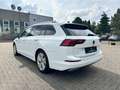 Volkswagen Golf VIII 2.0TDI DSG Var.Style AID*MATX*PANO*AHK Weiß - thumbnail 7