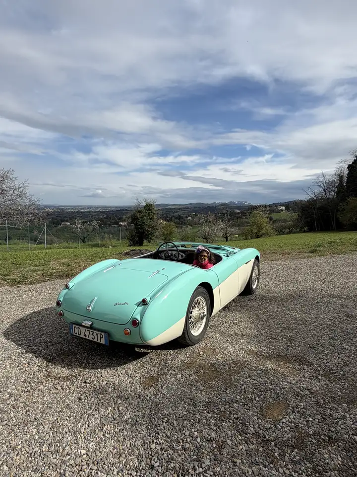 Austin-Healey 100 Bn2 100/4, foto 2
