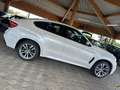 BMW X6 M50d*HeadUp*HarmKard*Bi-Xen*Nav*Totw*Spur*Kam Weiß - thumbnail 6