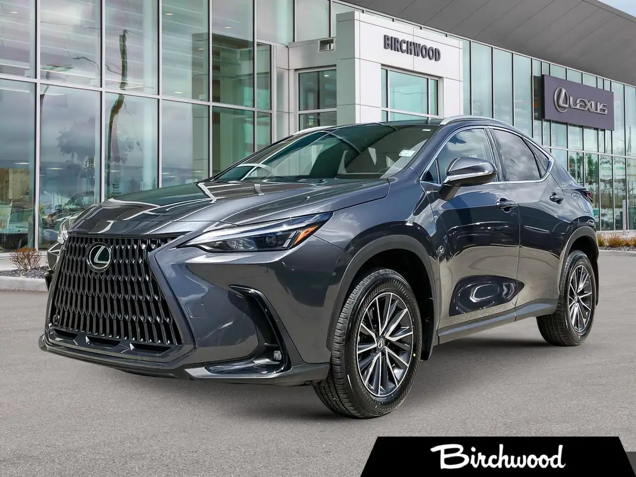 2026 Lexus NX