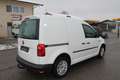 Volkswagen Caddy 2.0 TDI PDC TÜV & SERVICE NEU Weiß - thumbnail 5