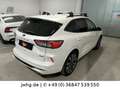 Ford Kuga Plug-In Hybrid ST-Line X ACC|LED+|HUD|AHK Blanc - thumbnail 5