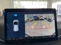 BYD Dolphin Surf 43,2 kWh Boost *AKTIONSPREIS* Grün - thumbnail 24