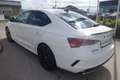 Skoda Octavia RS ***nur 4.800Km/SCHALTER*** Blanc - thumbnail 5