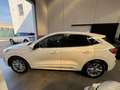 Ford Kuga III 2020 2.5 phev Vignale 2wd 225cv CVT Blanco - thumbnail 6