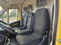 Fiat Ducato 33 2.3 MJT 120CV PM-TM Furgone Geel - thumbnail 13