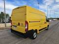 Fiat Ducato 33 2.3 MJT 120CV PM-TM Furgone Geel - thumbnail 5