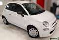 Fiat 500 500 1.0 hybrid Cult 70cv - thumbnail 2