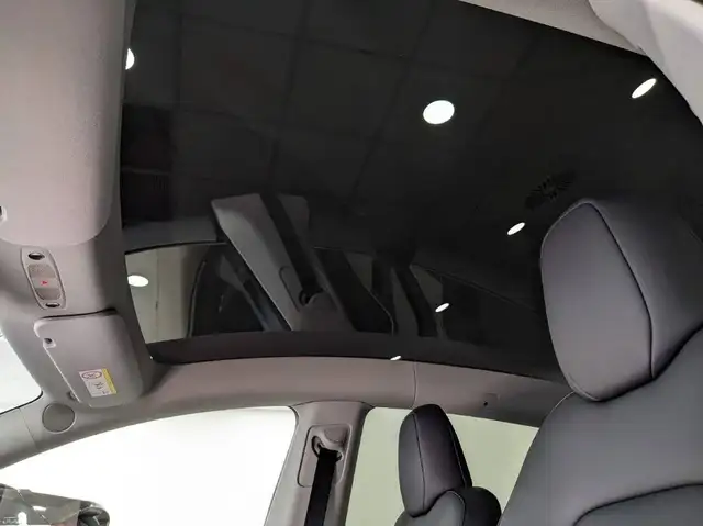 Tesla Model Y view 23