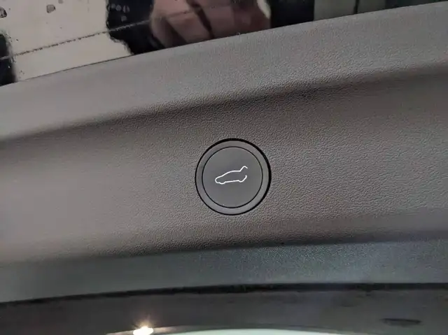 Tesla Model Y view 5