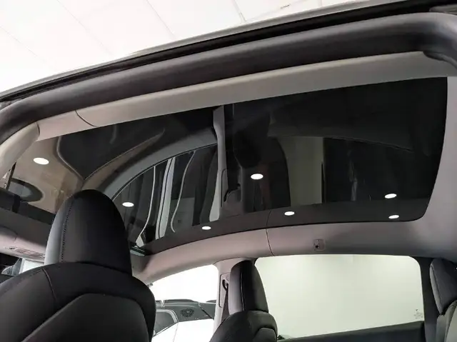 Tesla Model Y view 12