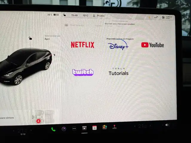 Tesla Model Y view 14