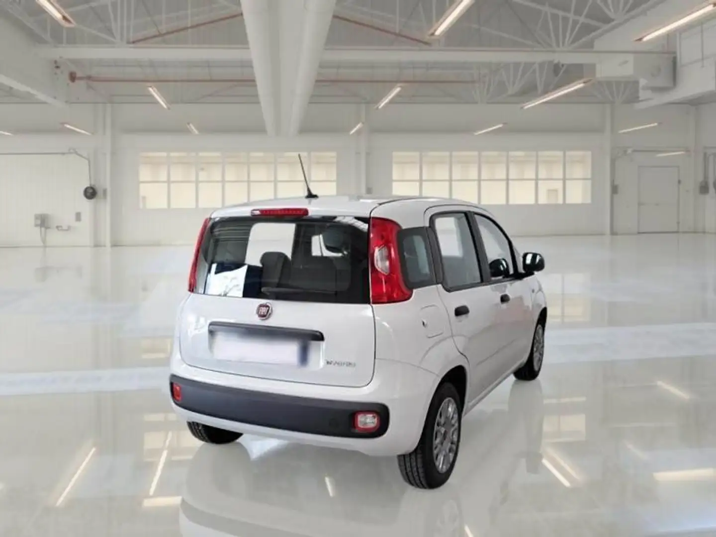 Fiat Panda Panda 1.0 firefly hybrid s Weiß - 2