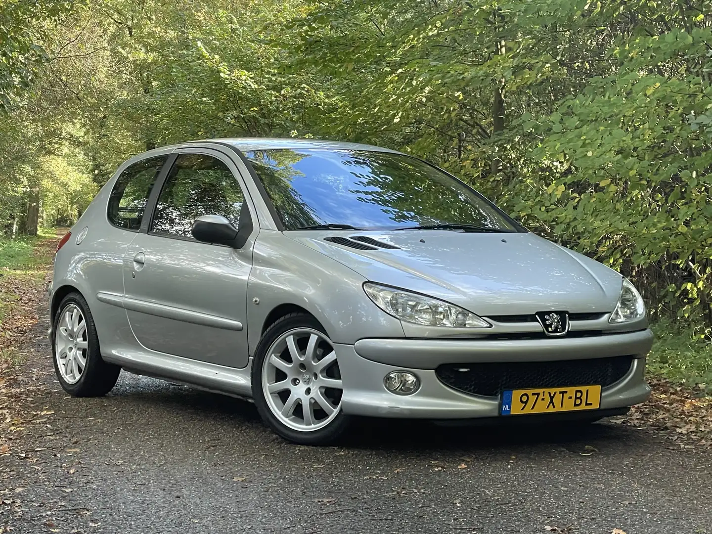 Peugeot 206 1.6-16V Quiksilver Grijs - 1