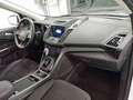 Ford Kuga 2.0 TDCI 150 CV S&S 4WD Powershift Business Bianco - thumbnail 15